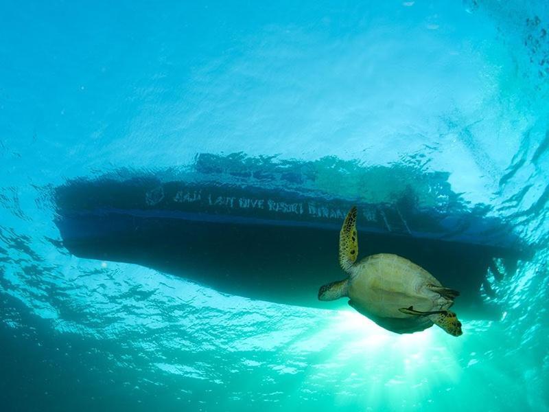 Raja Laut Dive Resort Bunaken Kültér fotó
